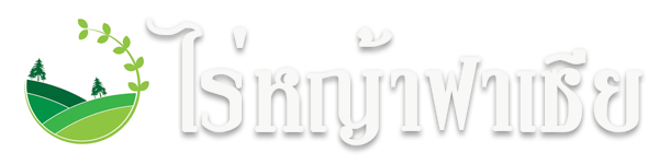 ไร่หญ้าฟาเซีย